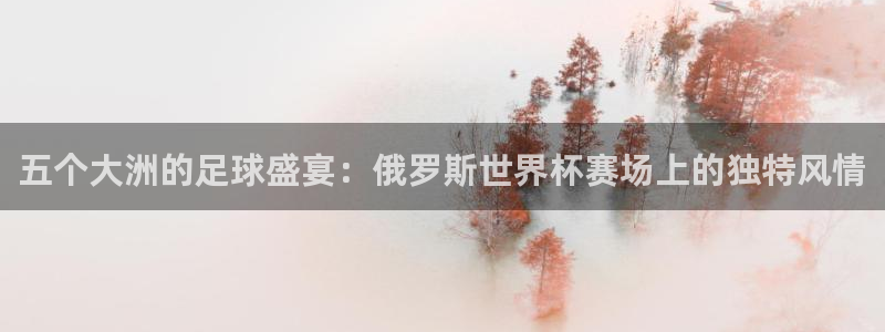 世界杯2026赛程表：五个大洲的足球盛宴：俄罗斯世界杯赛场上的独特风情