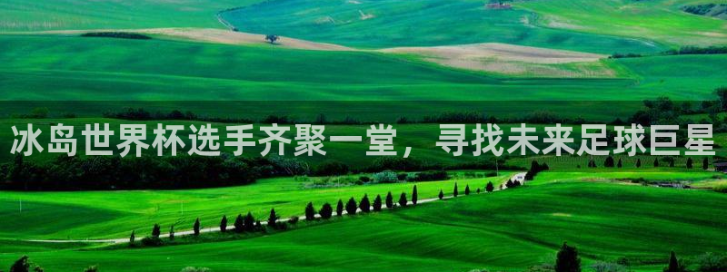 英格兰联赛杯直播：冰岛世界杯选手齐聚一堂，寻找未来足球巨星