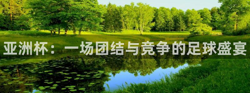美国世界杯：亚洲杯：一场团结与竞争的足球盛宴