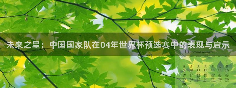 2026世界杯亚洲预选赛赛程：未来之星：中国国家队在04年世界杯预选赛中的表现与启示