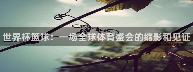 世界杯直播时间：世界杯篮球：一场全球体育盛会的缩影和见证