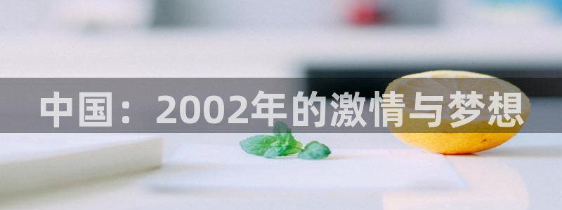 世界杯对阵图2026：中国：2002年的激情与梦想