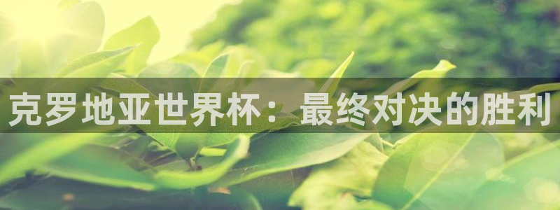 世界杯足球赛：克罗地亚世界杯：最终对决的胜利