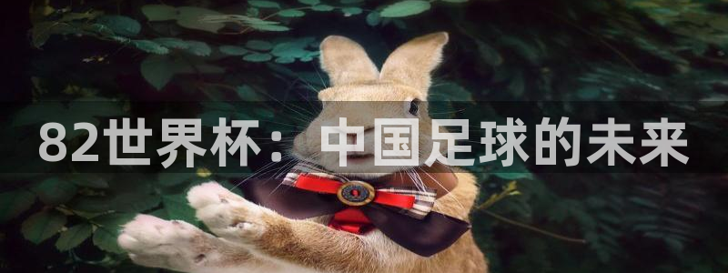 世界杯决赛直播：82世界杯：中国足球的未来