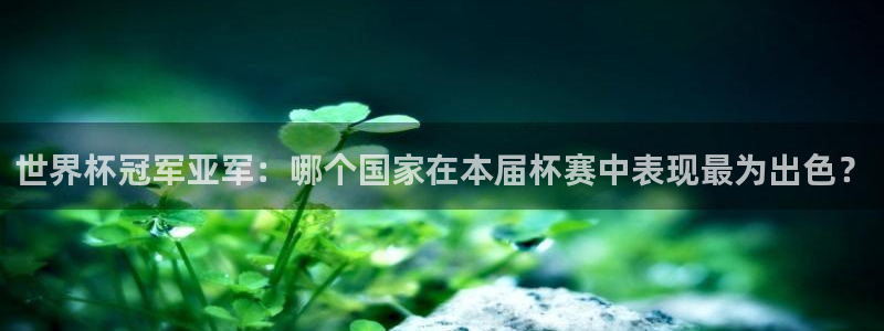 2006世界杯：世界杯冠军亚军：哪个国家在本届杯赛中表现最为出色？