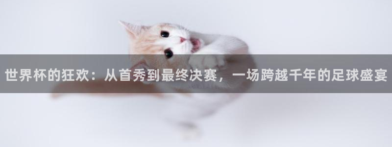 世界杯今日赛程直播：世界杯的狂欢：从首秀到最终决赛，一场跨越千年的足球盛宴