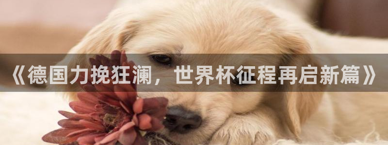 2026葡萄牙杯赛程表：《德国力挽狂澜，世界杯征程再启新篇》