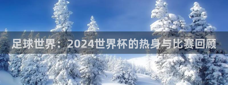 2026男足世界杯：足球世界：2024世界杯的热身与比赛回顾