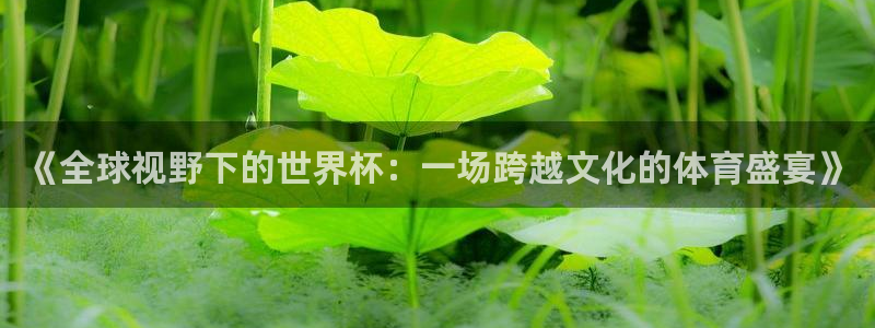 欧洲区世界杯预选赛：《全球视野下的世界杯：一场跨越文化的体育盛宴》