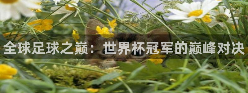 2026世界杯德国队阵容：全球足球之巅：世界杯冠军的巅峰对决