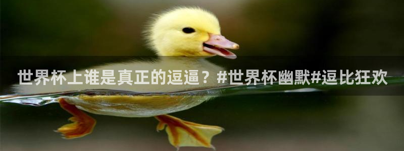 世界杯 直播：世界杯上谁是真正的逗逼？#世界杯幽默#逗比狂欢
